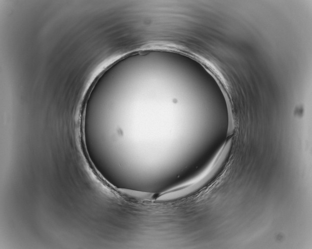 X0000098171003200805080957