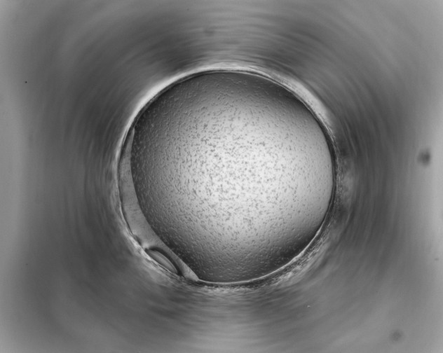 X0000098171004200805080957