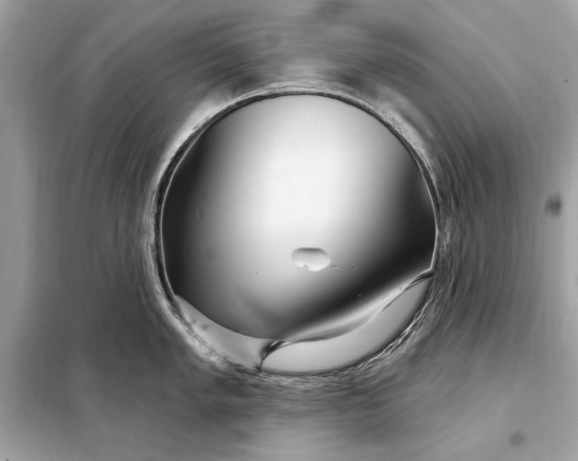 X0000098171005200805080957