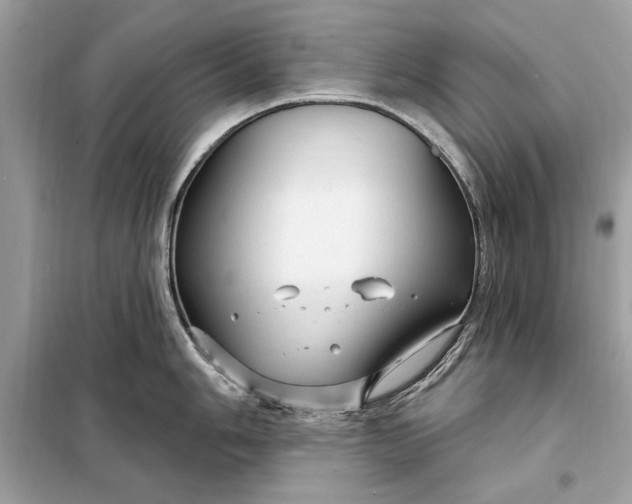 X0000098171006200805080957