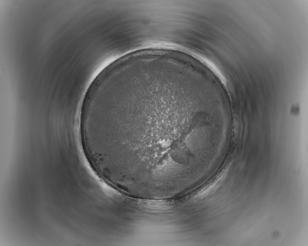 X0000098171007200805080957