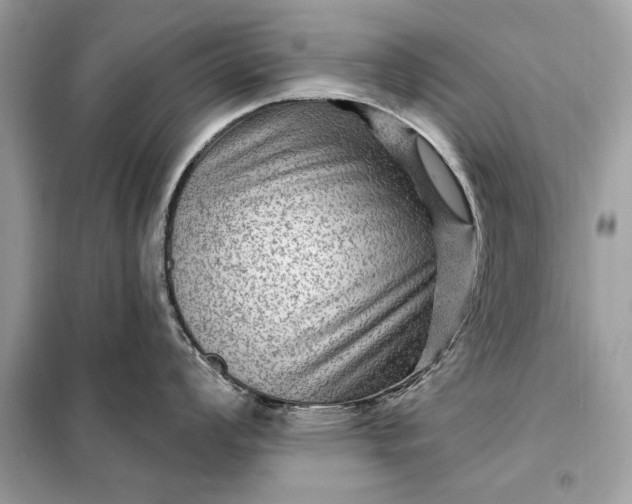 X0000098171008200805080957