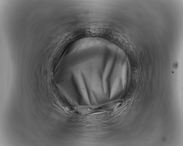 X0000098171009200805080956