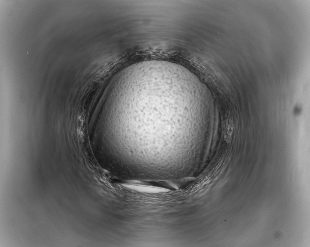 X0000098171010200805080956