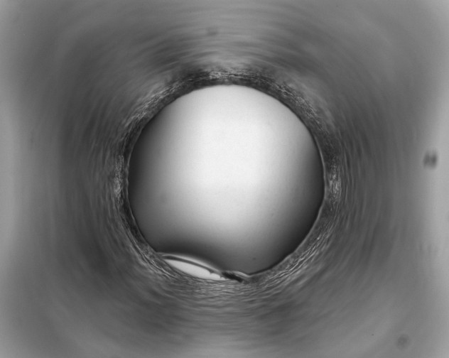 X0000098171012200805080956