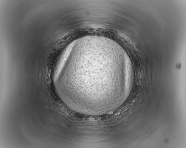 X0000098171013200805080956