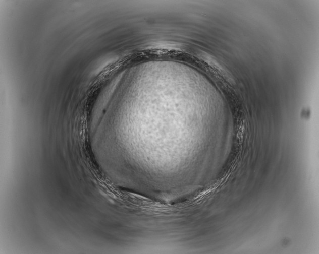 X0000098171014200805080956