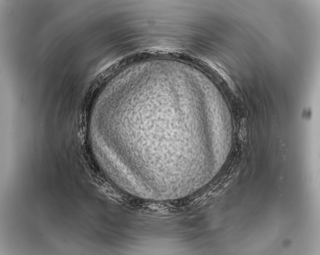 X0000098171015200805080956