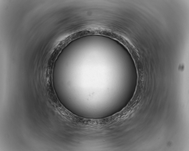 X0000098171016200805080956