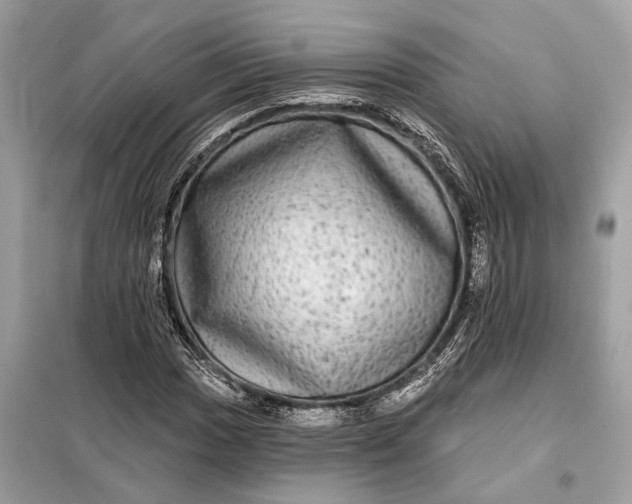 X0000098171017200805080956