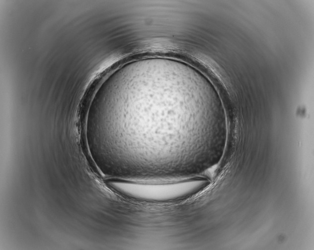 X0000098171018200805080956