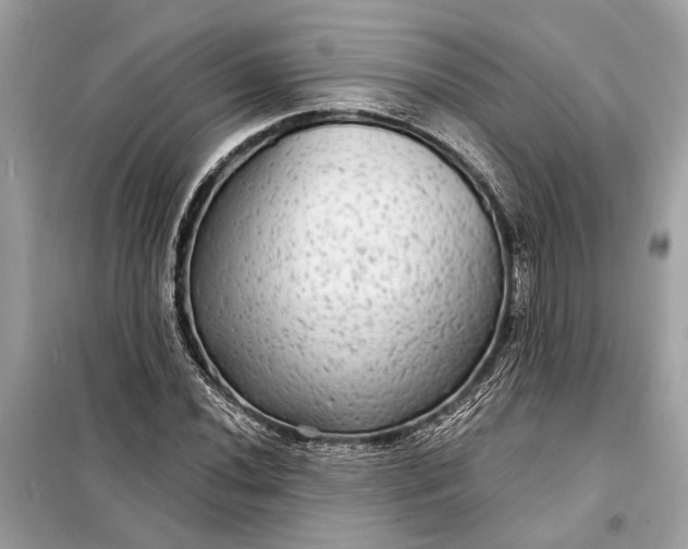 X0000098171020200805080956