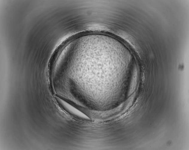 X0000098171022200805080956