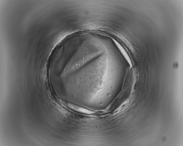 X0000098171023200805080956