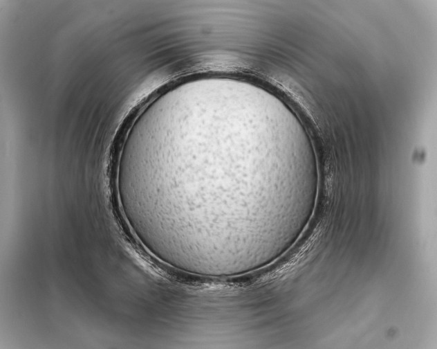 X0000098171026200805080956