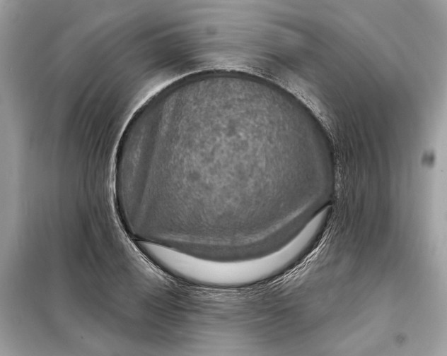 X0000098171028200805080956