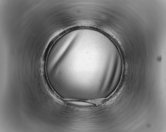 X0000098171029200805080956