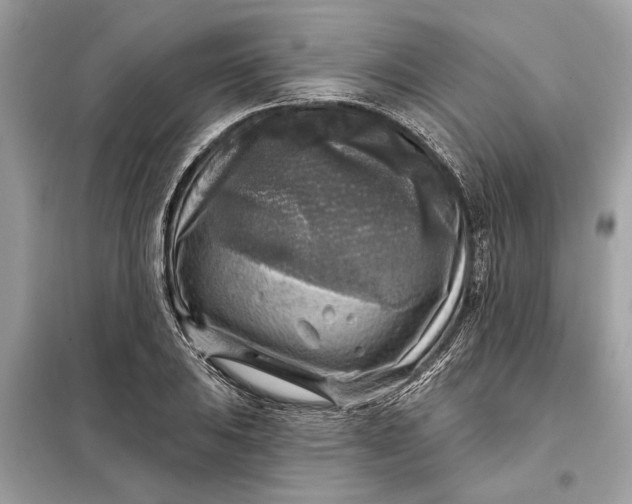 X0000098171031200805080956