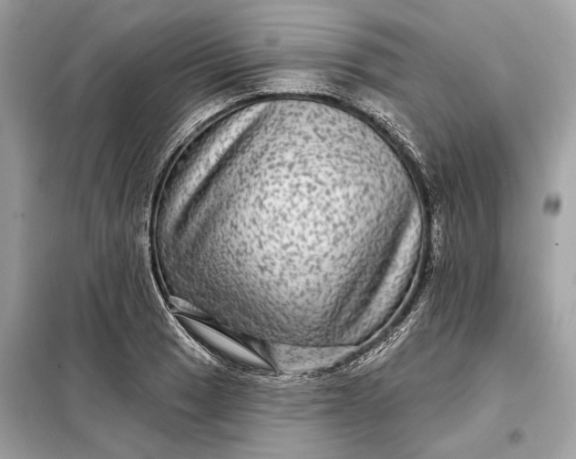 X0000098171033200805080956