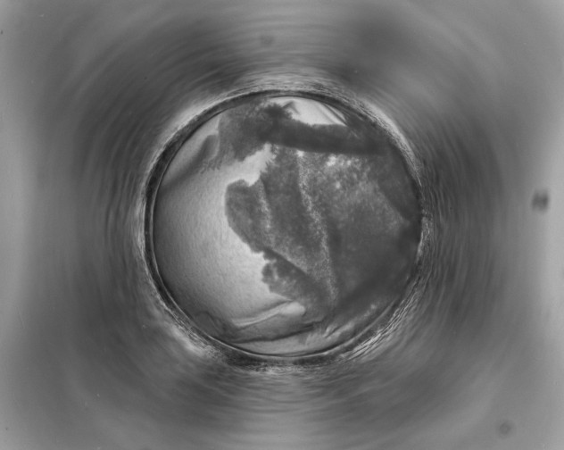 X0000098171035200805080956