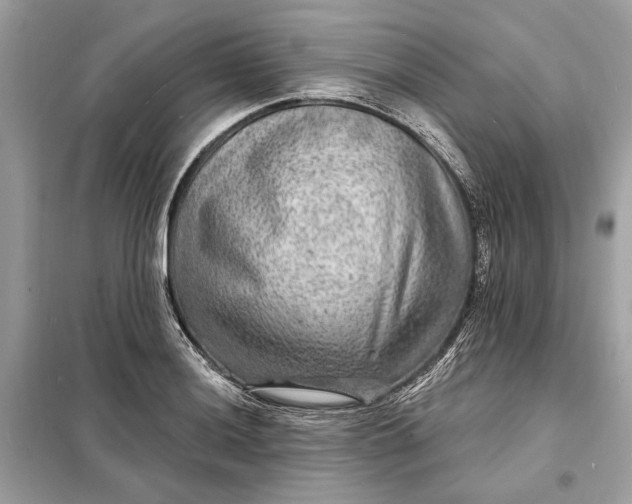 X0000098171036200805080956