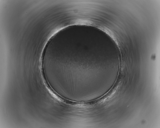 X0000098171037200805080956