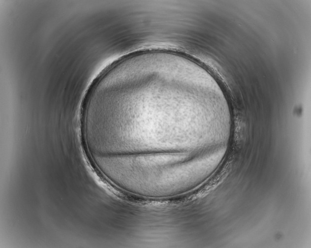 X0000098171038200805080956