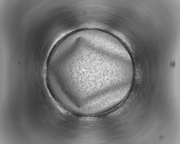 X0000098171040200805080956