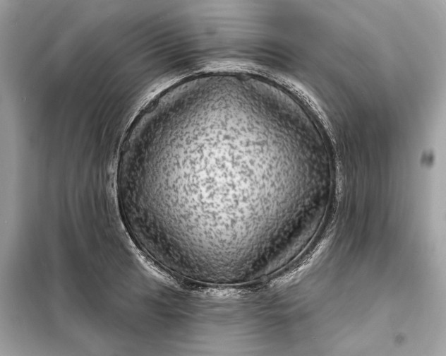 X0000098171041200805080956