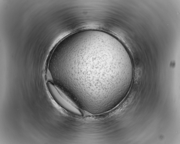 X0000098171042200805080956