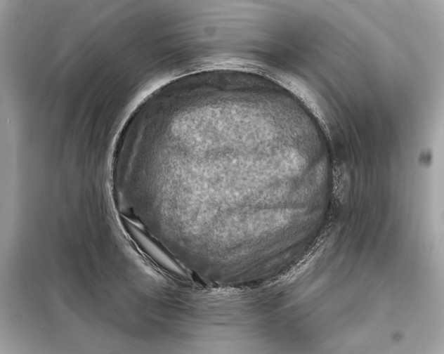 X0000098171043200805080956