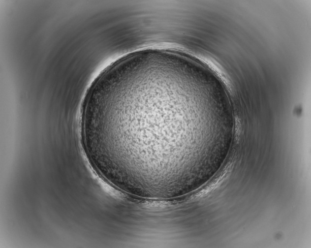 X0000098171046200805080956