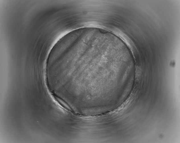 X0000098171048200805080956