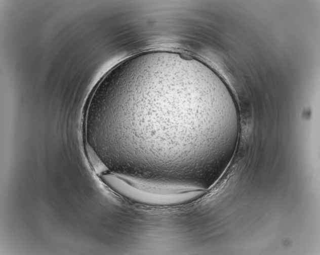 X0000098171050200805080957