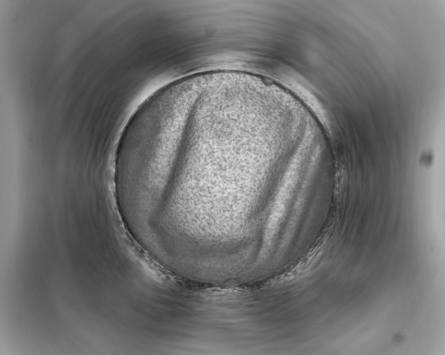 X0000098171051200805080957