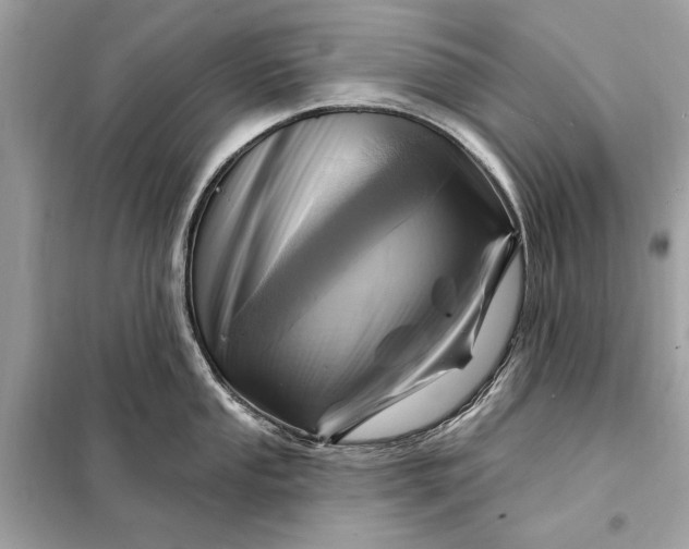 X0000098171053200805080957