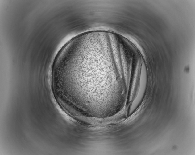 X0000098171054200805080957