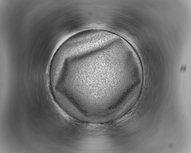 X0000098171056200805080957