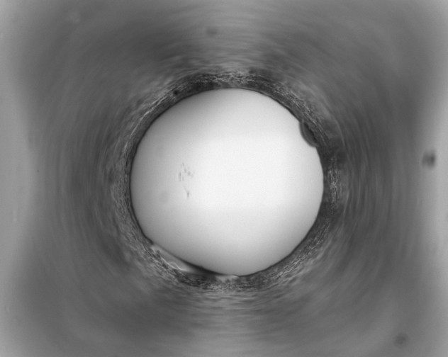 X0000098171057200805080956