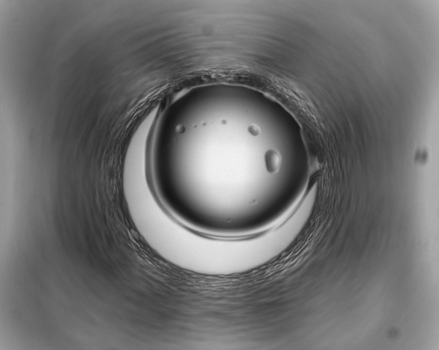 X0000098171060200805080956