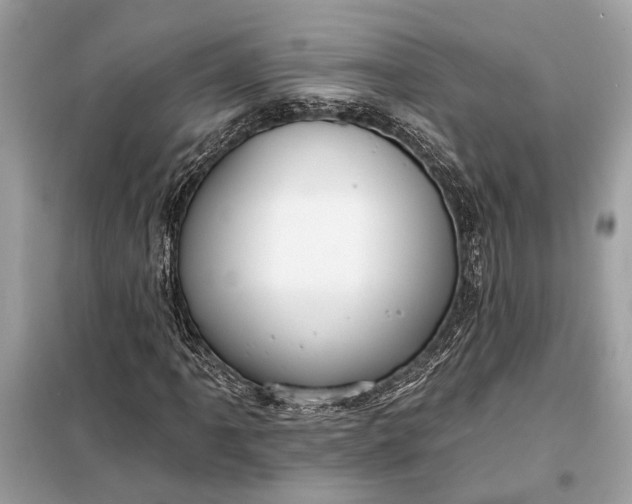 X0000098171061200805080956