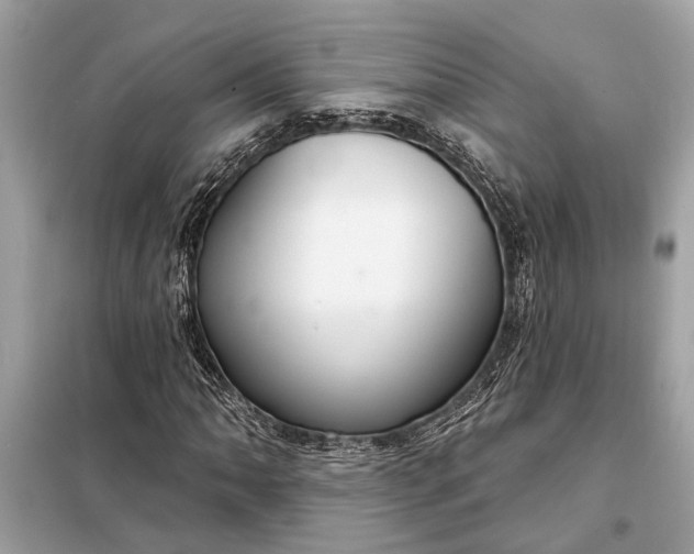 X0000098171062200805080956