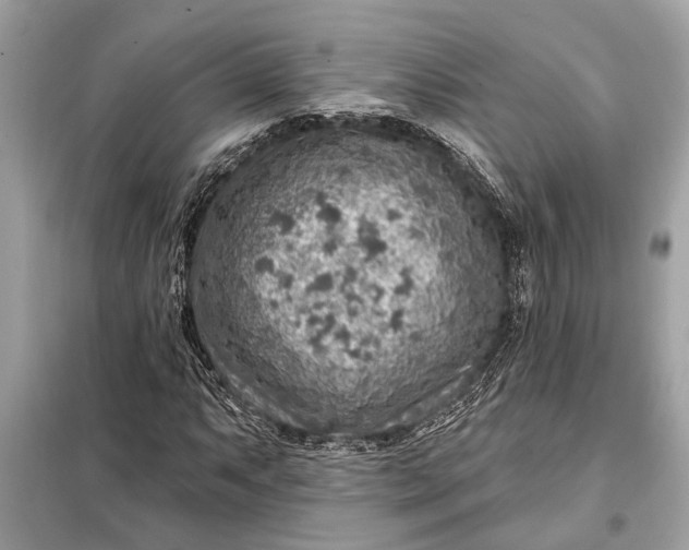 X0000098171063200805080956