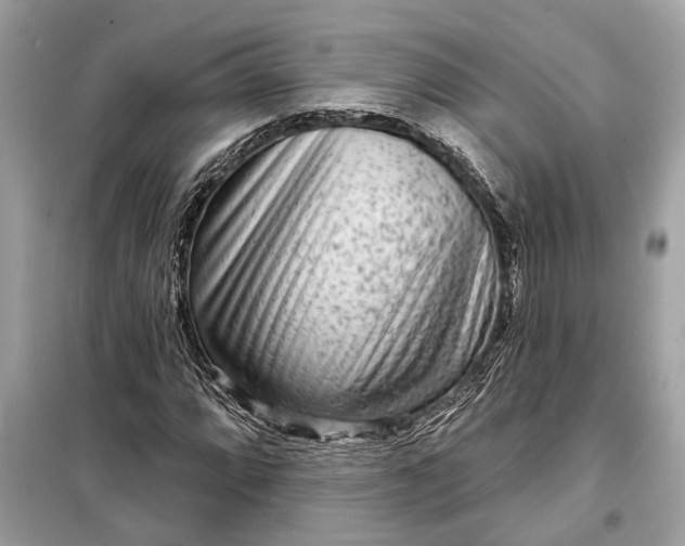 X0000098171064200805080955