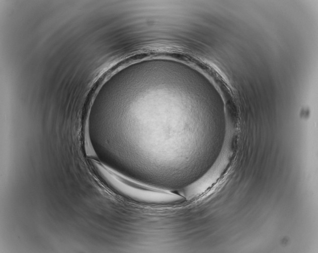 X0000098171065200805080955