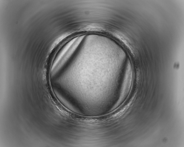 X0000098171066200805080955