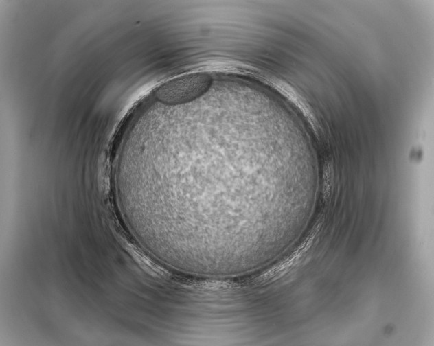 X0000098171067200805080955