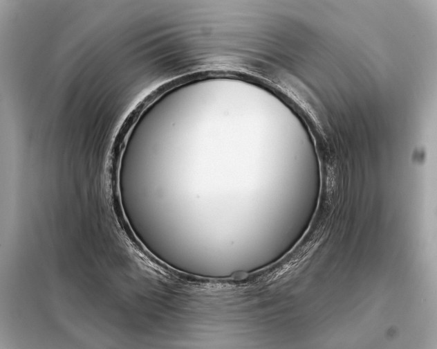 X0000098171068200805080955