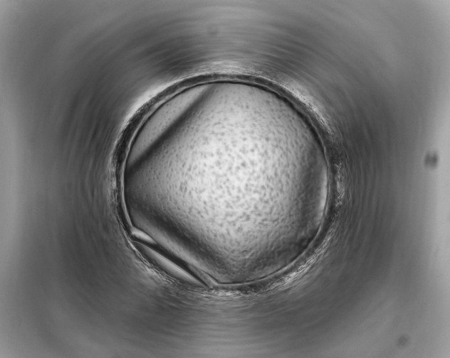 X0000098171070200805080955