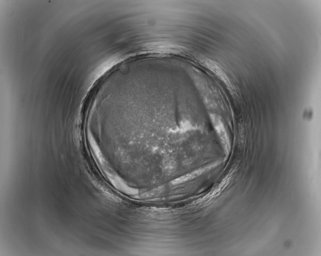 X0000098171071200805080955